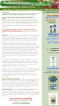 Mobile Screenshot of prohealthsolutions.com